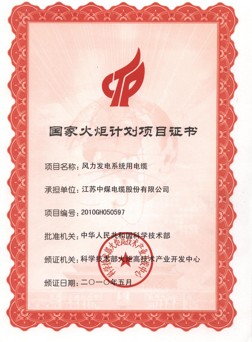 Certificate of national Torch Program